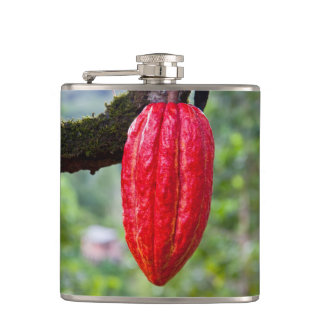 Flasques cocod