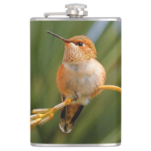 Flasques Colibri roux mignon perché sur une fleur