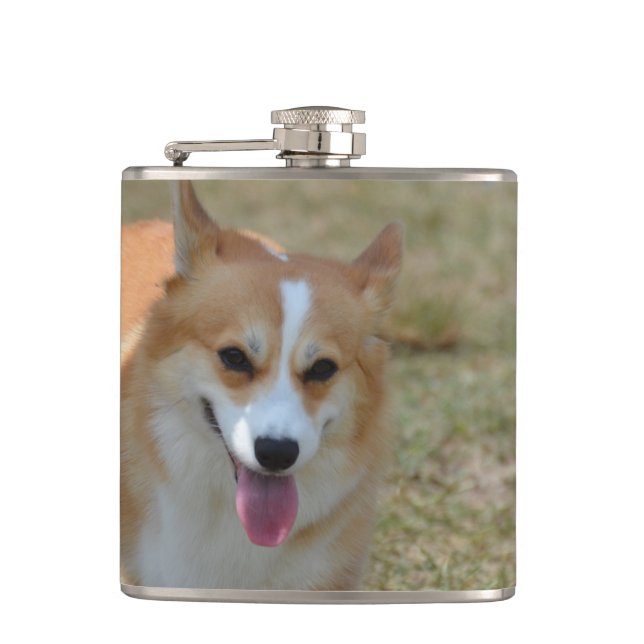 Flasques Corgi heureux (Devant)