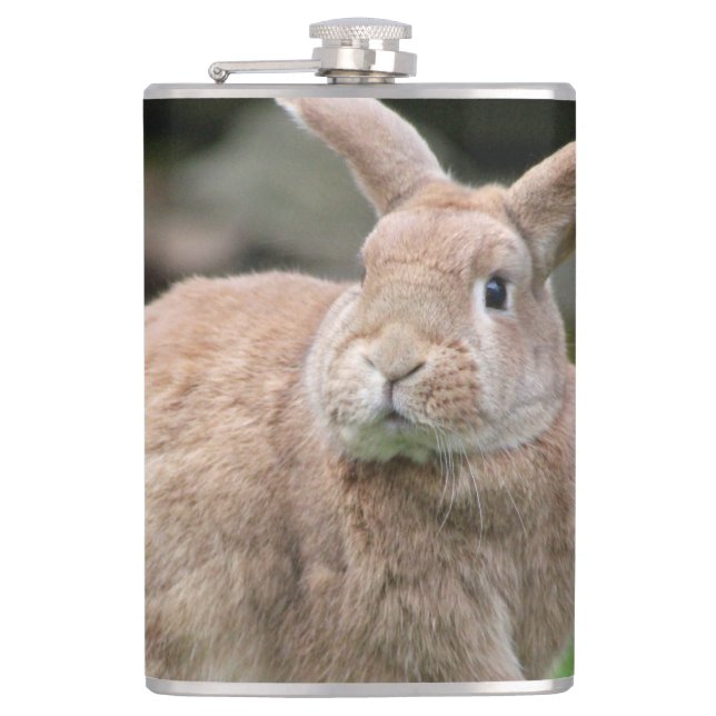 Flasques Cute lapin de gingembre avec de grandes oreilles (Devant)
