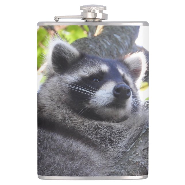 Flasques Cute Raccoon fermer (Devant)