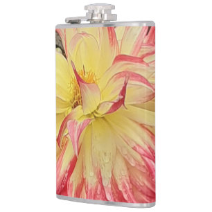 Flasques Dahlia rose et jaune