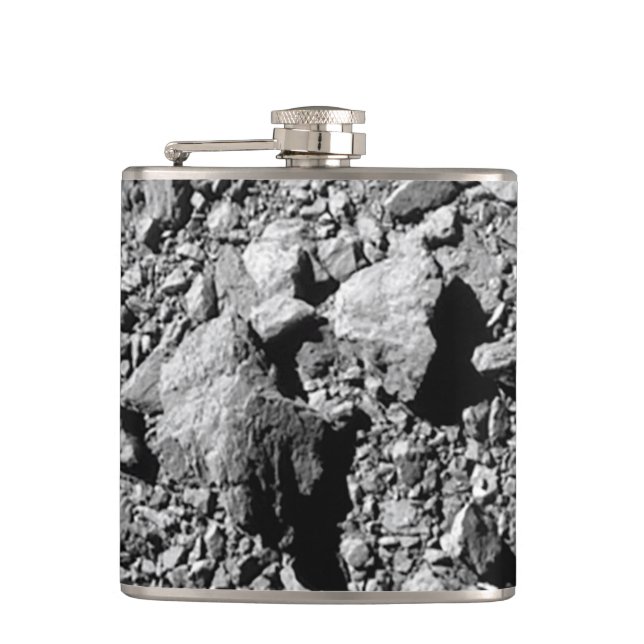 Flasques DART Dimorphos Asteroid Moonlet Surface (Devant)