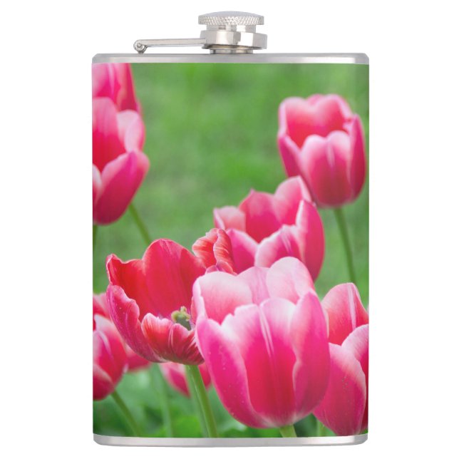 Flasques De mignonnes tulipes écarlate dans le jardin (Devant)