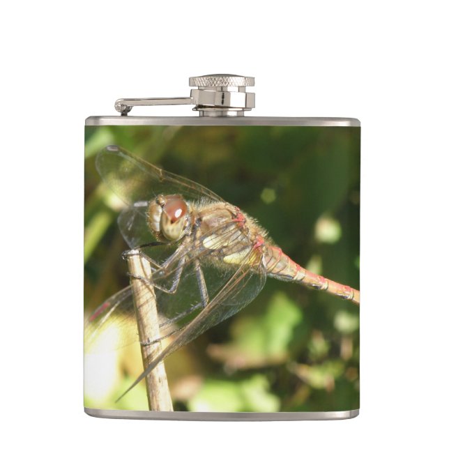 Flasques Dragonfly sur une fiole de brindilles (Devant)