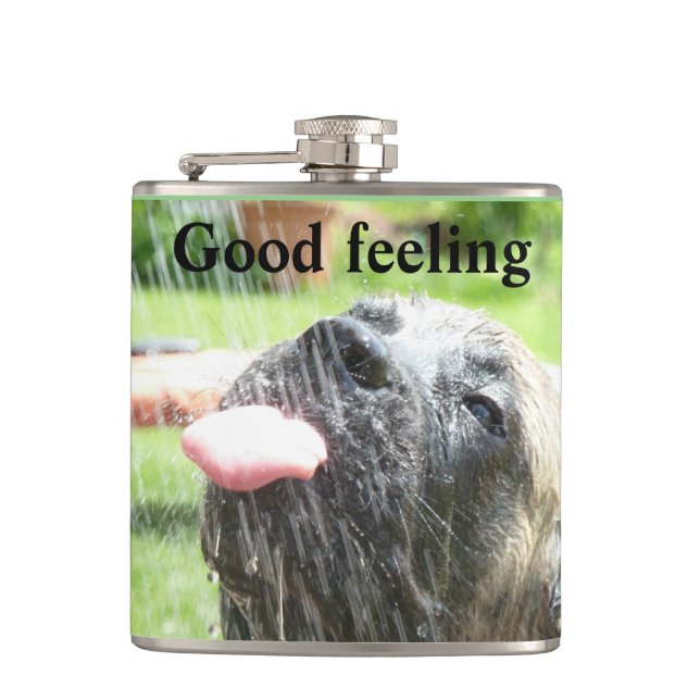 Flasques English Mastiff bonne sensation  (Devant)
