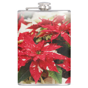 Flasques Festive Rouge Blanc Floral Poinsettia Fleurs
