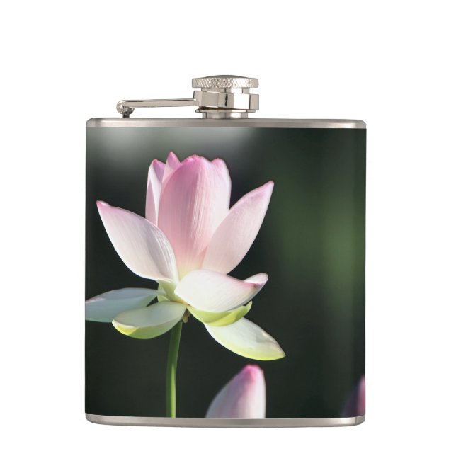 Flasques Fleur de Lotus rose et blanc (Devant)
