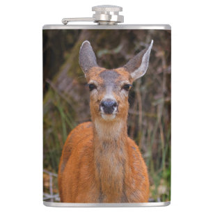 Flasques Funny Young Blacktail Deer sourit à un photographe