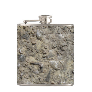 Flasques Géologie de la calcaire de hachage fossile