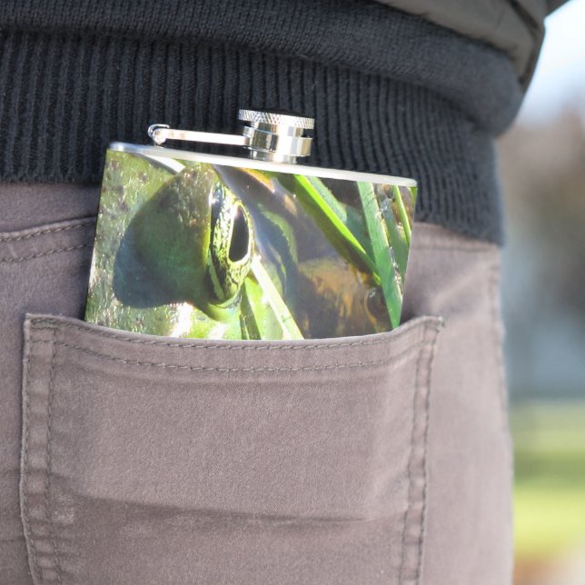 Flasques Grenouille verte (En situation)