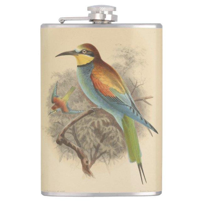 Flasques Illustration vintage de Guêpier d'Europe (Devant)