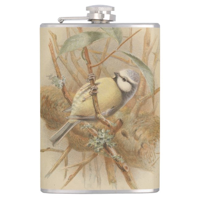 Flasques Illustration vintage de mésange bleue (Devant)