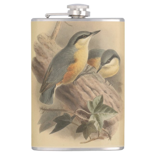 Flasques Illustration vintage de sittelle (Devant)