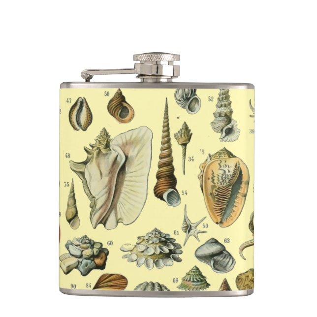 Flasques Impression vintage de coquillages d'Adolphe Millot (Devant)