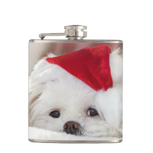 Flasques Joli chien blanc avec un chapeau de Noël rouge