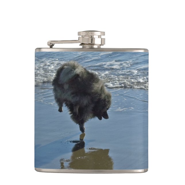 Flasques Keeshond Ballet Photographie - Joli chien d'origin (Devant)