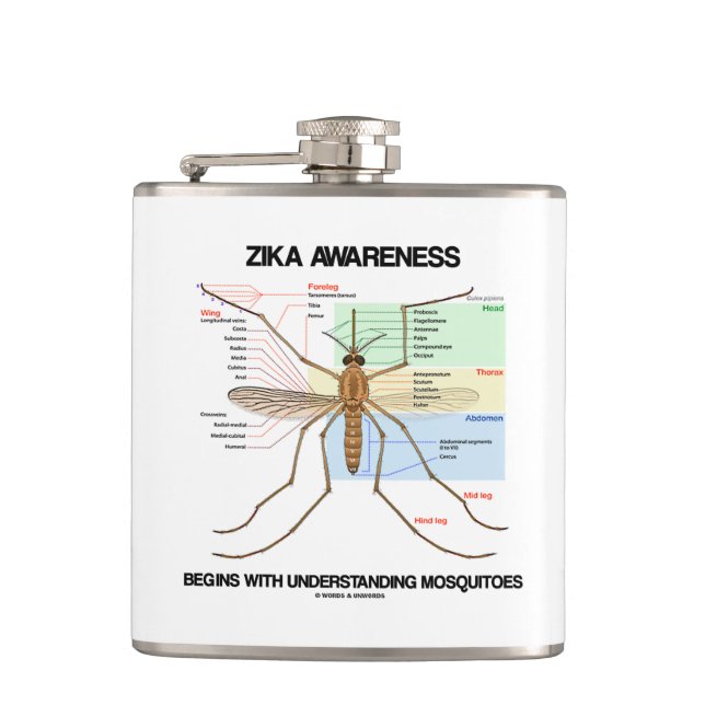 Flasques La conscience de Zika commence à comprendre des (Devant)