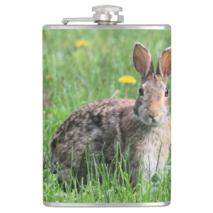 Flasques Lapin