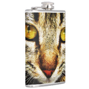 Flasques L'apparence expressive d'un chat domestique