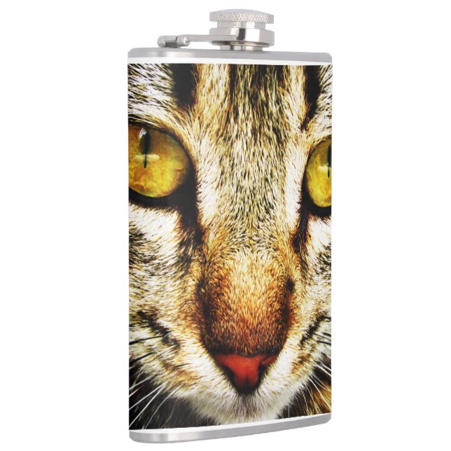 Flasques L'apparence expressive d'un chat domestique (Droite)