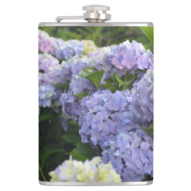 Flasques Lavande & Lilac Hortensia Hydrangea Fleurs (Devant)