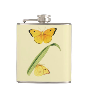 Flasques Le papillon Colias de Godart