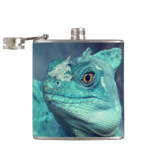 Flasques Lézard bleu
