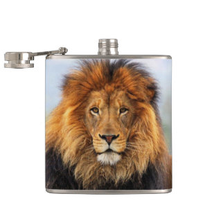 Flasques Lion d'Afrique 1