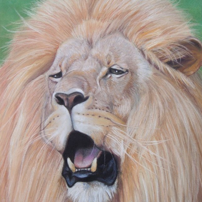 Flasques lion rugissant gros chat faune art réaliste (Créateur téléchargé)