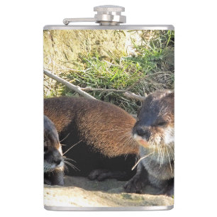 FLASQUES LOUTRES