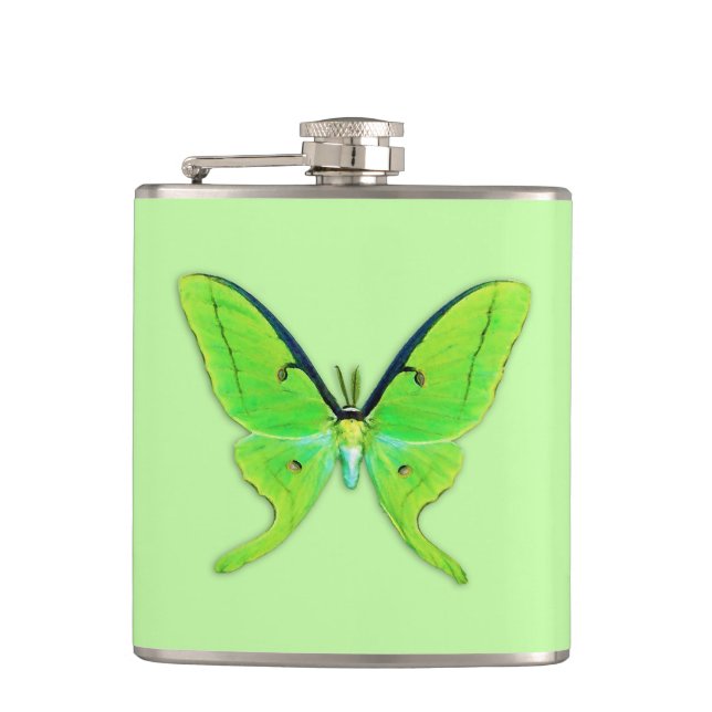 Flasques Luna moth sur un arrière - plan vert pâle (Devant)