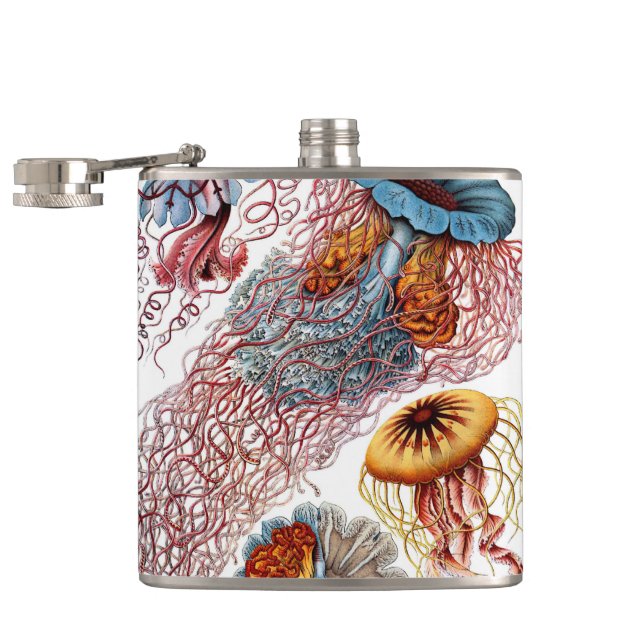 Flasques Méduse vintage par Ernst Haeckel, Discomedusae (Ouvert)