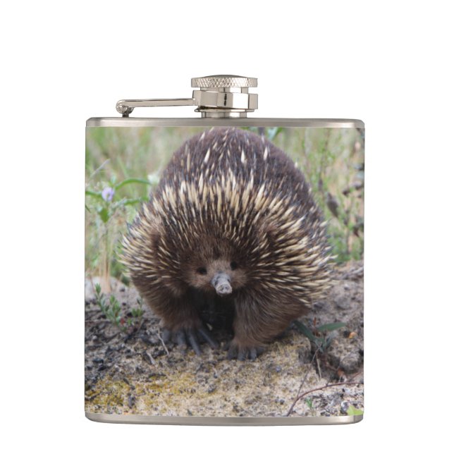 Flasques Mignonne Echidna d'Australie (Devant)