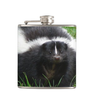 Flasques Mouffette mignonne