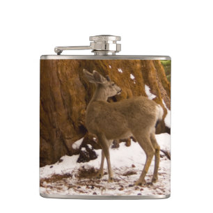 Flasques Mule Deer