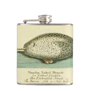 Flasques Narwhal Antique Baleine Aquarelle Art scientifique