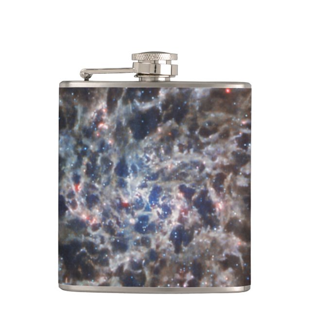 Flasques Os de Galaxy IC5332 de JWST (Devant)