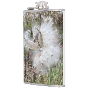 Flasques Ouvrir les pots d'algues   Graines avec soie  
