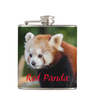 Flasques Panda roux sauvage
