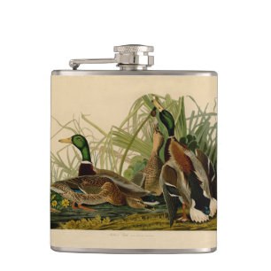 Flasques Peinture d'oiseaux de Mallard Duck Audubon