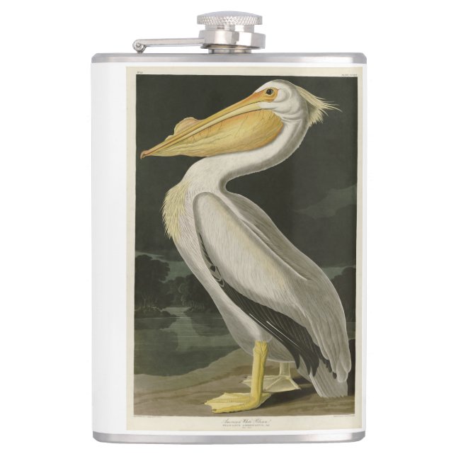 Flasques Pélican blanc américain, les oiseaux d'Amérique d' (Devant)