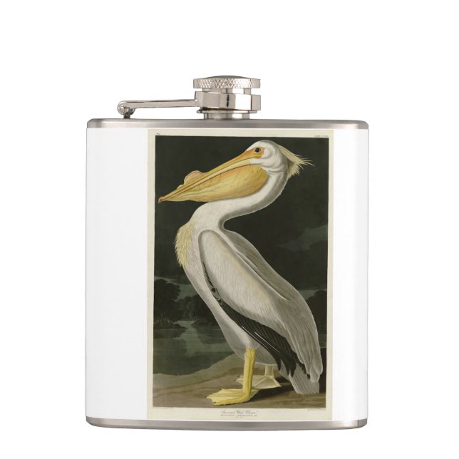 Flasques Pélican blanc américain, les oiseaux d'Amérique d' (Devant)