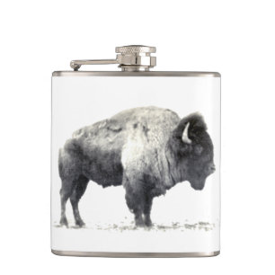 Flasques Photo historique de American Bison
