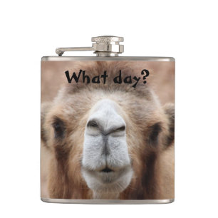 Flasques Photo idiote de chameau (personnaliser)