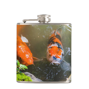 Flasques Poisson Koi dans un étang