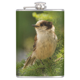 Flasques Profil d'une Jay gris mou / Whiskeyjack