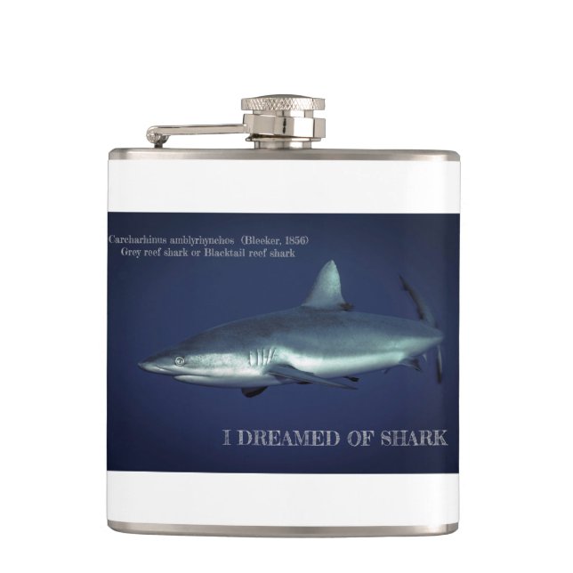 Flasques Requin gris de récif dans Yap Micronésie Mug de ca (Devant)