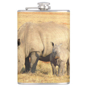Flasques rhinocéros mignons en afrique