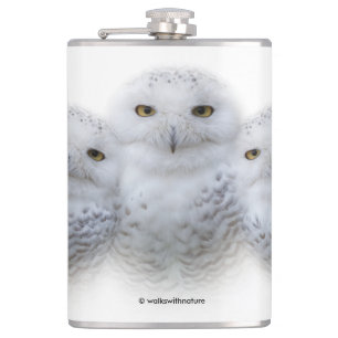 Flasques Sagesse de rêve de la famille des Chouettes de nei